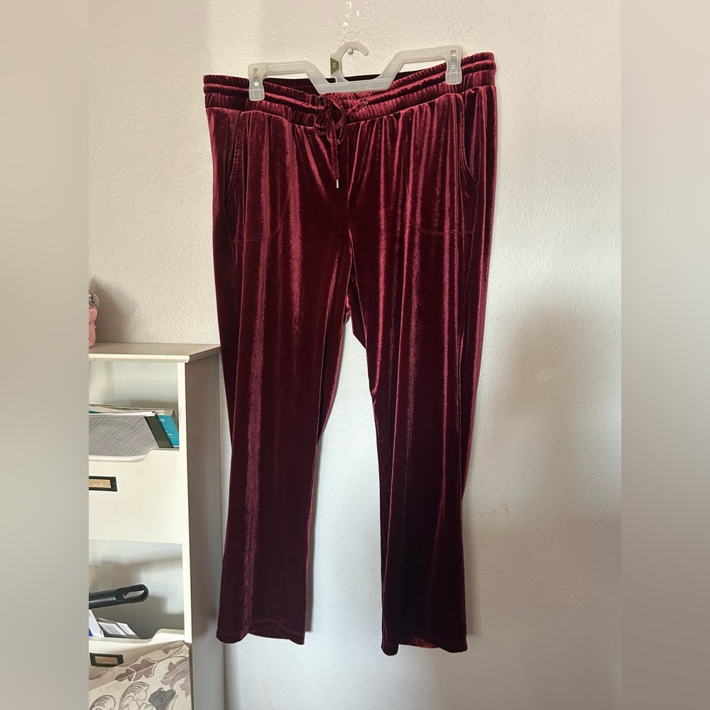 Torrid Velvet Burgundy Pants